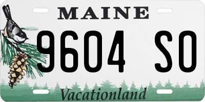 ME license plate 9604SO