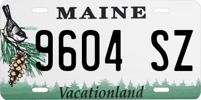 ME license plate 9604SZ