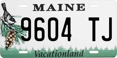 ME license plate 9604TJ