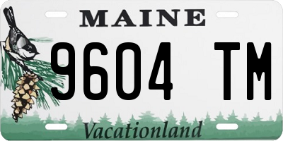 ME license plate 9604TM
