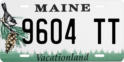 ME license plate 9604TT