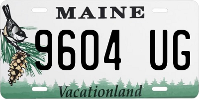 ME license plate 9604UG
