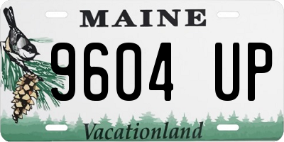 ME license plate 9604UP