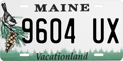 ME license plate 9604UX