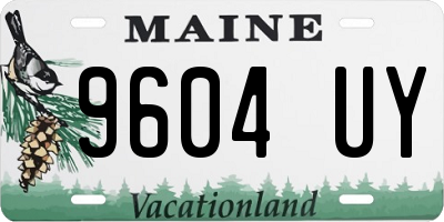 ME license plate 9604UY