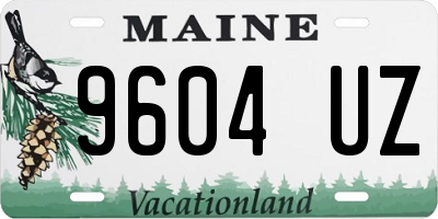 ME license plate 9604UZ