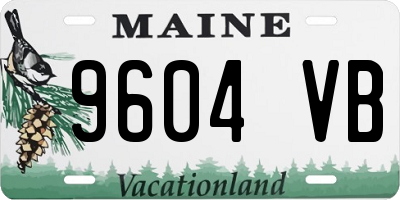 ME license plate 9604VB