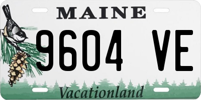 ME license plate 9604VE