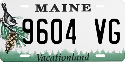 ME license plate 9604VG