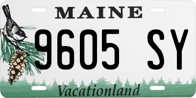 ME license plate 9605SY