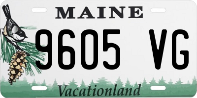 ME license plate 9605VG