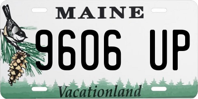 ME license plate 9606UP
