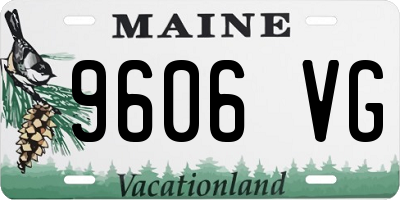 ME license plate 9606VG