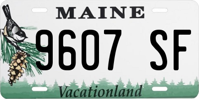 ME license plate 9607SF