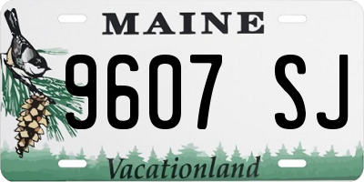 ME license plate 9607SJ
