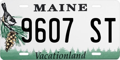ME license plate 9607ST