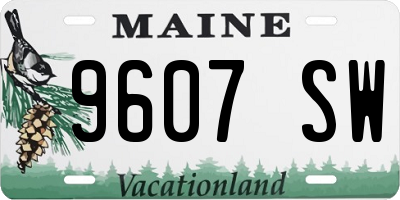 ME license plate 9607SW
