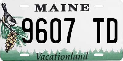 ME license plate 9607TD