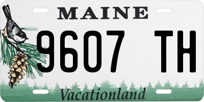 ME license plate 9607TH