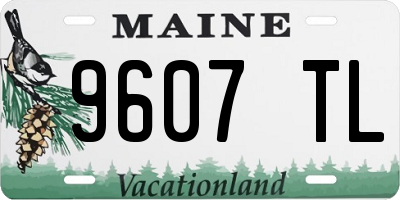 ME license plate 9607TL
