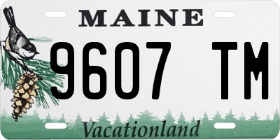ME license plate 9607TM