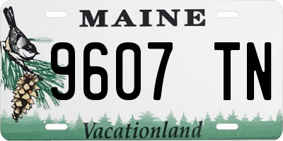 ME license plate 9607TN