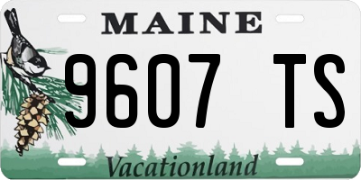 ME license plate 9607TS