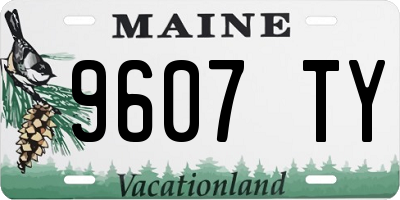 ME license plate 9607TY
