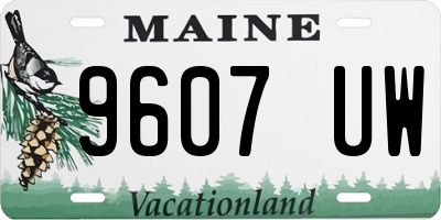 ME license plate 9607UW