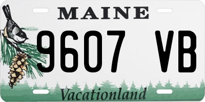 ME license plate 9607VB