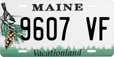 ME license plate 9607VF