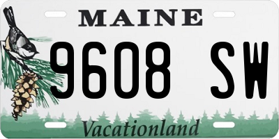 ME license plate 9608SW