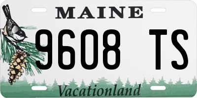 ME license plate 9608TS