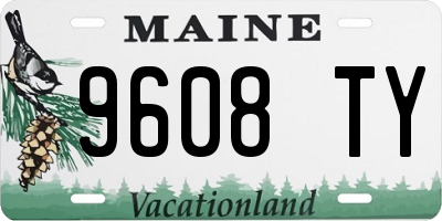 ME license plate 9608TY