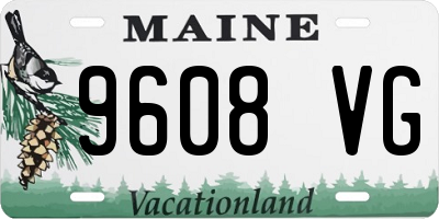 ME license plate 9608VG