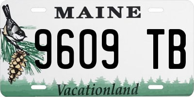 ME license plate 9609TB