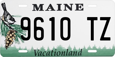ME license plate 9610TZ