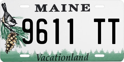 ME license plate 9611TT