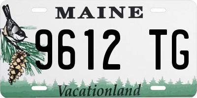 ME license plate 9612TG