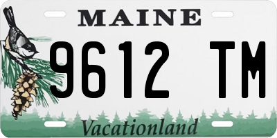 ME license plate 9612TM