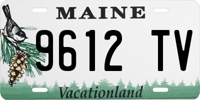 ME license plate 9612TV