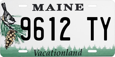 ME license plate 9612TY