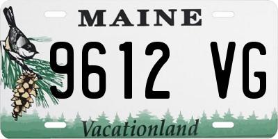 ME license plate 9612VG