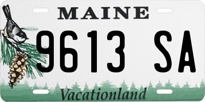 ME license plate 9613SA