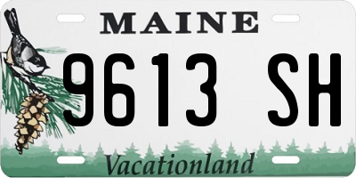 ME license plate 9613SH