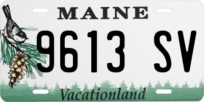 ME license plate 9613SV