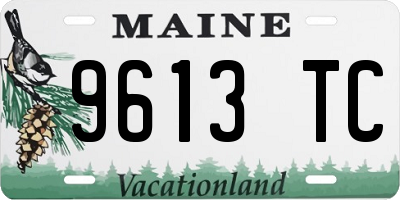 ME license plate 9613TC