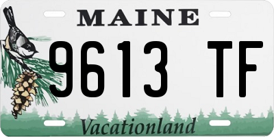 ME license plate 9613TF