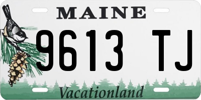 ME license plate 9613TJ