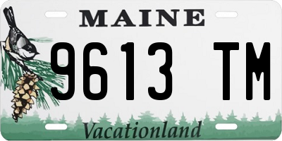 ME license plate 9613TM